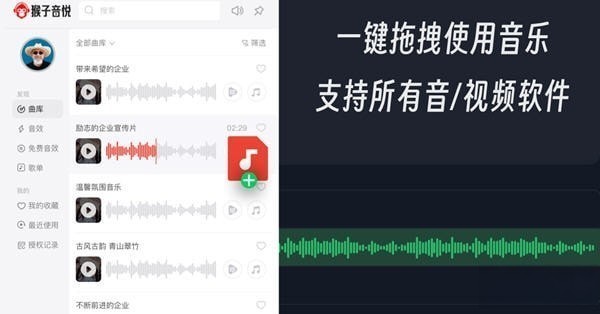 猴子音悦