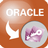 OracleToAccess v3.5免费版