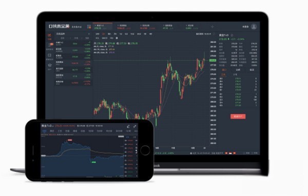 口袋贵金属电脑版