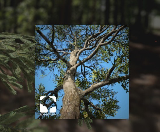 SpeedTree Modeler(三维树木建模软件)