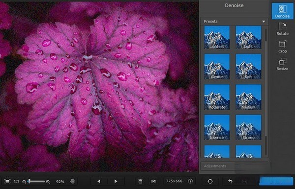 Movavi Photo DeNoise(图片降噪软件)