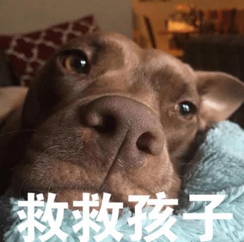 救救孩子吧表情包