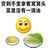窩窩頭表情包