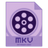 Dimo MKV Video Converter v4.6.1官方版