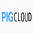 pig v3.0.0官方版