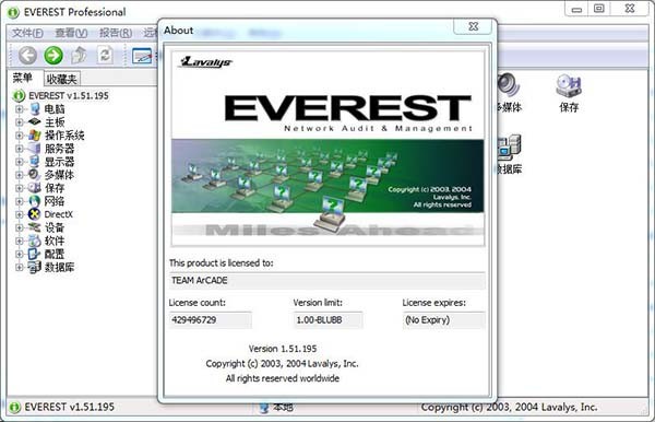 Everest Professional(电脑硬件检测工具)