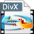 4Easysoft Blu-ray to DivX Ripper v3.1.30官方版