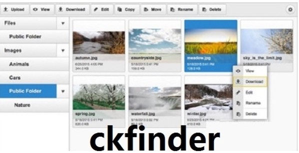 ckfinder(ajax文件管理器)