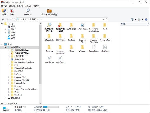 RS Mac Recovery(数据恢复软件)