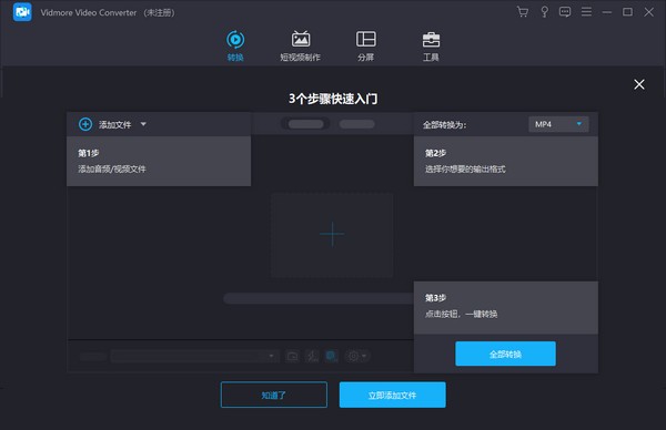 Vidmore Video Converter(视频格式转换器)