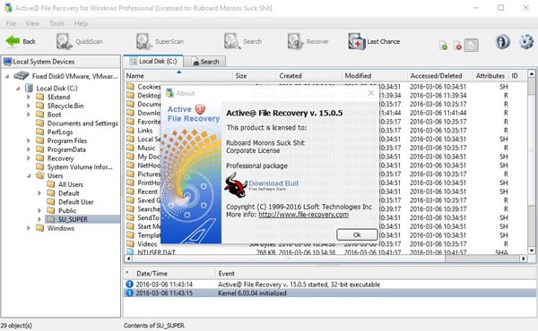 Active File Recovery for Windows Professional(文件恢复工具)
