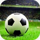 传奇冠军足球九游版v1.5.0简体安卓app手机游戏下载