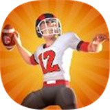 NFL生活3Dv0.2简体安卓app手机游戏下载