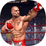 拳击斗士2021v1.0.5简体安卓app手机游戏下载