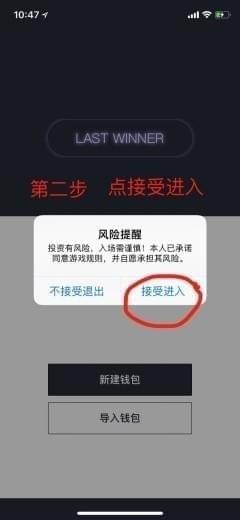 lastwinner下载