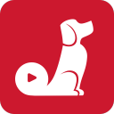红小狗视频1.0.0.4_中文安卓app手机软件下载