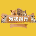 宠物推荐2.4.5_中文安卓app手机软件下载