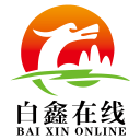 白鑫在线1.0.5_中文安卓app手机软件下载