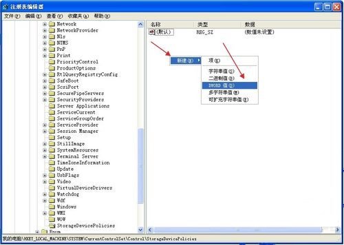 U盘被写保护怎么解除