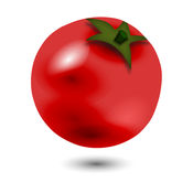 番茄播放器 2.0:简体中文苹果版app软件下载