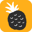 网易菠萝2.1.3_中文安卓app手机软件下载
