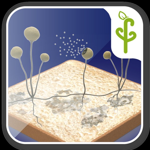生活中的霉菌:AR Game苹果版 1.1苹果ios手机游戏下载