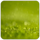 朦胧雨季主题(锁屏桌面壁纸)1.9.55_中文安卓app手机软件下载
