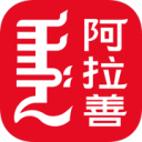 阿拉善发布4.1.0_中文安卓app手机软件下载