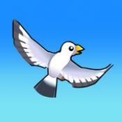 猎鹰生活Falconer Life0.1_安卓单机app手机游戏下载