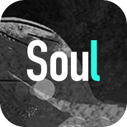 灵魂交友软件soulv4.59.0 官方安卓版_中文安卓app手机软件下载
