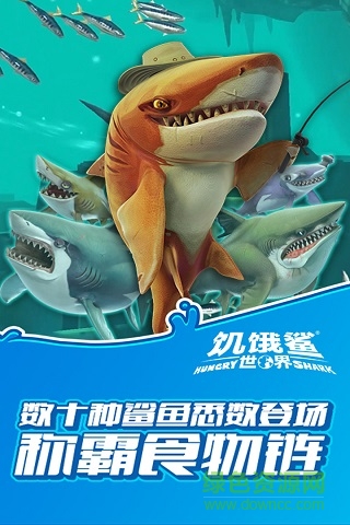 饥饿鲨世界最新版游戏v4.9.0 官方安卓版_中文安卓app手机软件下载