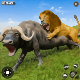 狮子模拟器3d版v1.6 安卓版_英文安卓app手机软件下载