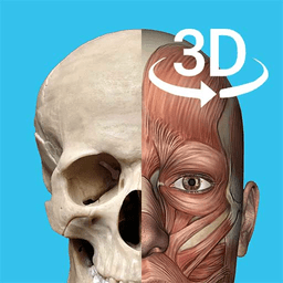 3d人体解剖学三维图谱appv1.3 安卓版_中文安卓app手机软件下载