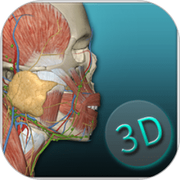 人体解剖学图集appv3.15.1 安卓版_中文安卓app手机软件下载