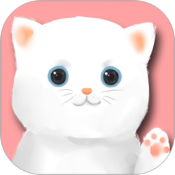 猫玩具appv1.0 安卓版_中文安卓app手机软件下载