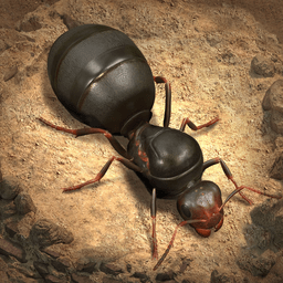 The Ants游戏v1.19.0 安卓最新版_英文安卓app手机软件下载