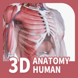 人体解剖3d中文版(口袋人体解剖)v3.0.0 安卓版_中文安卓app手机软件下载