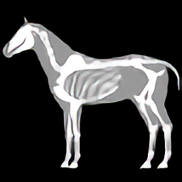 马匹解剖模拟器3d(3D Horse Anatomy Software)v1.2 安卓版_中文安卓app手机软件下载