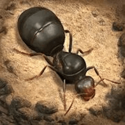 荒野蚂蚁模拟手游v1.0 安卓版_中文安卓app手机软件下载