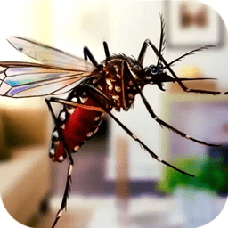 超级蚊子乱斗游戏v1.1 安卓版_中文安卓app手机软件下载