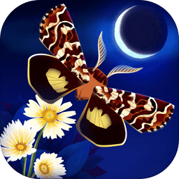 彩翼之星夜最新官方版(Starlight)v2.111 安卓版_中文安卓app手机软件下载