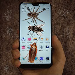虫子整蛊模拟器v1.0 安卓版_中文安卓app手机软件下载