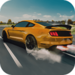公路赛车手赛车(Highway Racer)v3.2 安卓版_中文安卓app手机软件下载