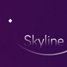 skyline模拟器官方版 v5.2.0