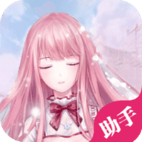 闪耀暖暖助手app v1.0