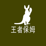 王者保姆软件(王者荣耀代练) v1.1.2