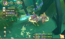 龙之国物语耳语森林宝箱在哪 宝箱位置一览